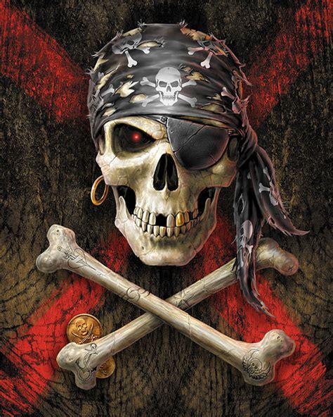 Pirate Skull Masterpiece By Numbers