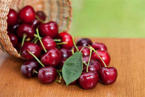 7 Different Types Of Cherries And How To Use Them Images And Photos Finder