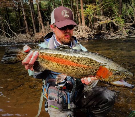 Beavers Bend Fly Fishing Guide Service And Fly Shop Broken Bow Ok