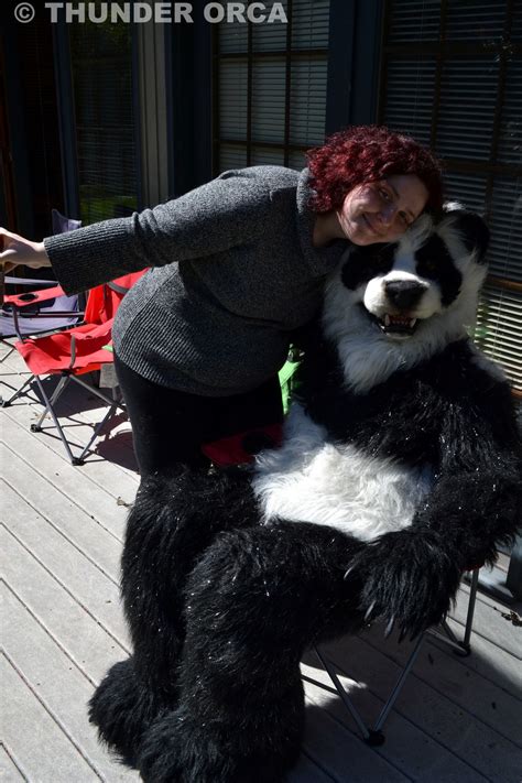 My Panda Fursuit Part 2 — Weasyl