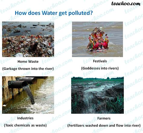 How Can We Prevent Water Pollution Explained With Images Teachoo