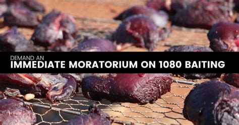 Petition Demand An Immediate Moratorium On 1080 Baiting