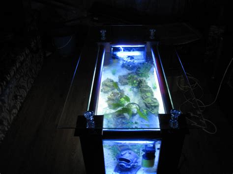 No complicated installation, no additional equipment needed: Aquarium Coffee Table For Sale | Roy Home Design