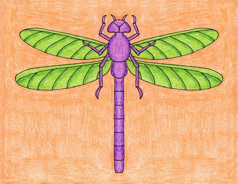 Draw A Realistic Dragonfly · Art Projects For Kids