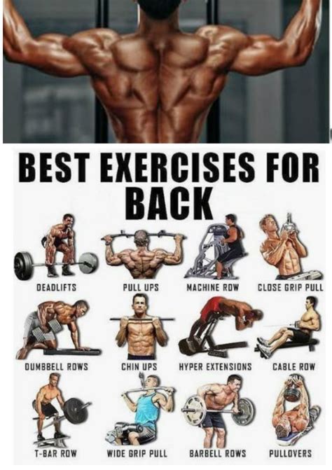 Sinew Nutrition On Twitter Back Workout Routine Back Workout