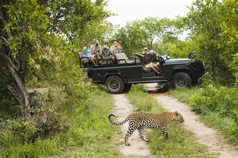 The Best Jungle Safaris In The World To Be Added To Your Bucket List If You Are A Sucker For
