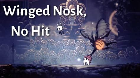 How To Beat Winged Nosk Radiant Hollow Knight Youtube
