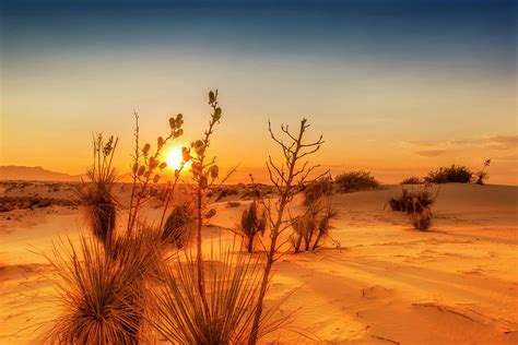 White Sands Sunset Photograph By Melanie Viola