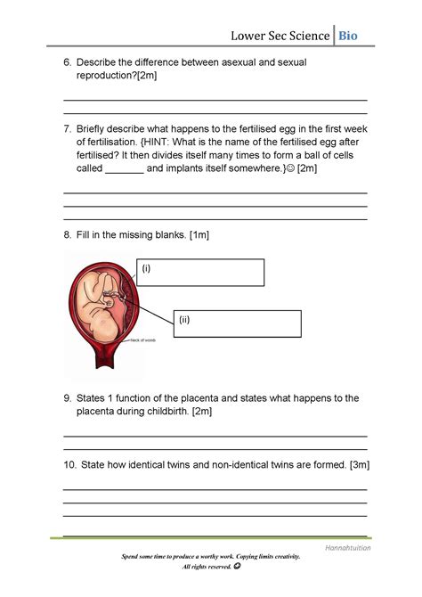 7bb Male And Female Reproductive Systems Worksheet Teaching Resources