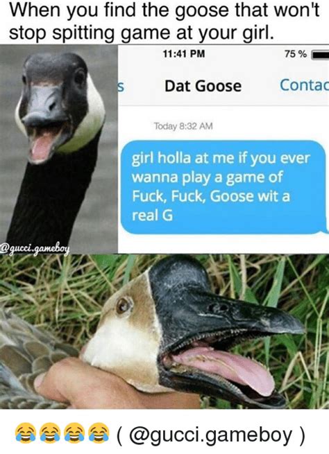 when you find the goose that won t stop spitting game at your girl 1141 pm 75 dat goose contac