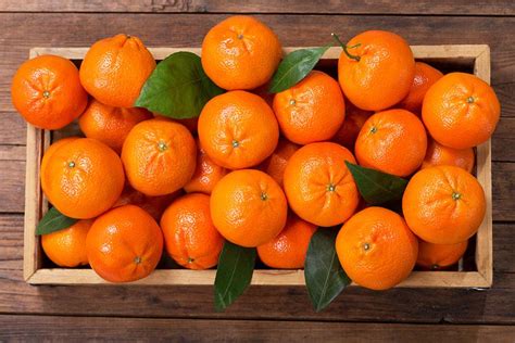 jeruk jadi salah satu buah khas imlek