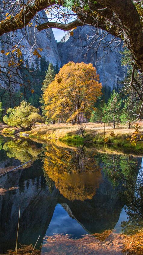 Customize your desktop, mobile phone and tablet with our wide variety of cool and interesting 8k wallpapers in just a few clicks! Wallpaper Yosemite, 5k, 4k wallpaper, 8k, forest, OSX ...