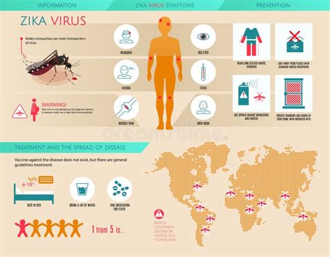 zika virus infographic information prevention symptoms treatment and the spread of desiase