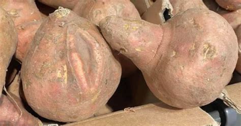 Lidl Shoppers Left Howling At Amusing Display Of Potatoes That Look