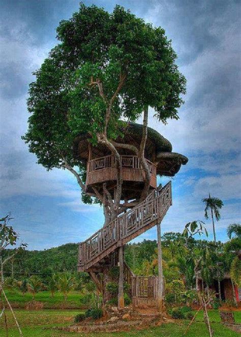 15 Of The Most Amazing Treehouses From Around The World Cool Tree