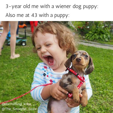 I Went Crazy For Wiener Dogs When I Was A Kid And Still Get Giddy