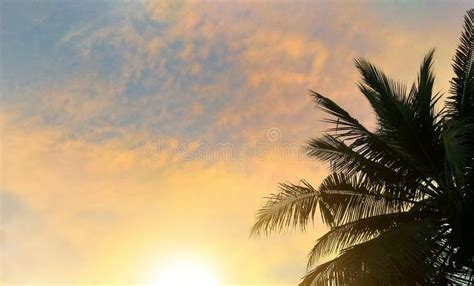 Afternoon Sunset Stock Image Image Of Afternoon Looks 87659955