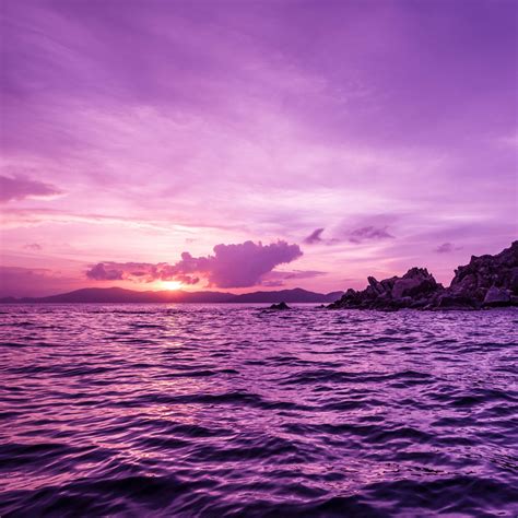 Download Pelican Island Sunset British Virgin Islands Hd Wallpaper For