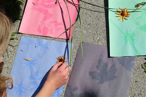 Diy Art Make Construction Paper Sun Prints Scholastic Parents