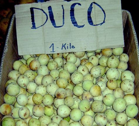 Lanzones Duco Farm Fruits From Calinan Southern Davao Ph Rs