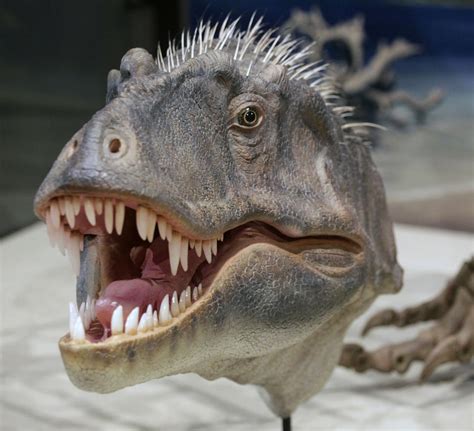 New Dinosaur That Predates T Rex Found Offbeat Crazy World