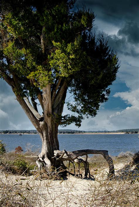 On Stilts Photograph By Paul Mangold Fine Art America