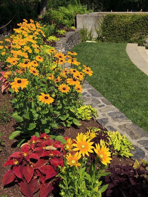Gardening For Beginners 25 Easy Care Plants Bob Vila
