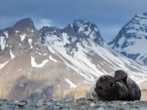 National Geographic Contest Photos Business Insider