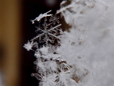 Beautiful Snowflake And Ice Crystal Photos Submitted By Our Readers