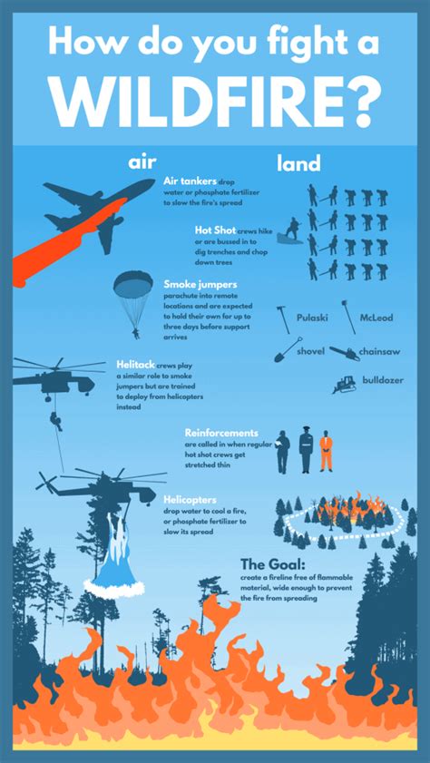 Everything It Takes To Fight Wildfires Daily Infographic