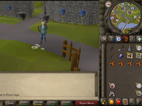 Check spelling or type a new query. Osrs Green Dragon Safe Spot | Asdela