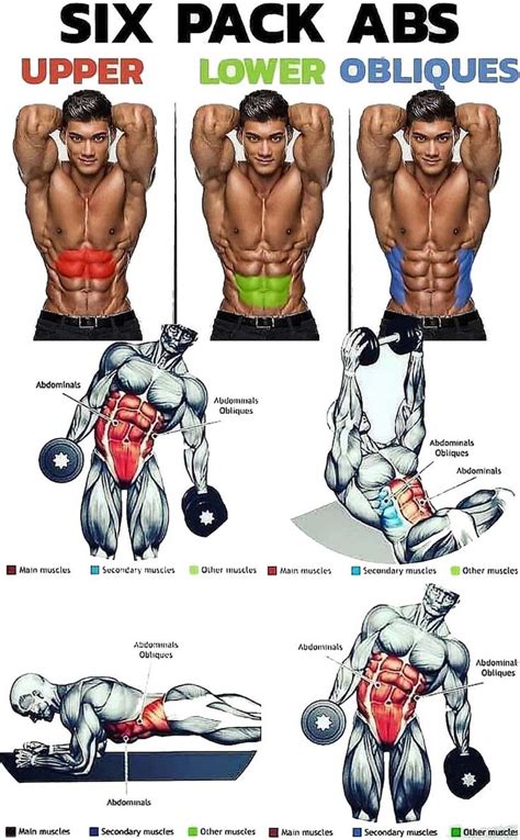 The Six Pack Abss Are Shown With Different Muscles And Their Corresponding Parts To Each Other