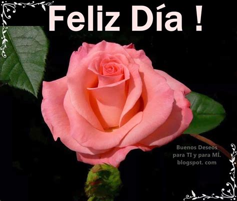 Buenos Deseos Para Ti Y Para MÍ Feliz Día Rosa Rosa