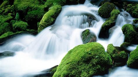 🥇 Nature Rocks Streams Moss Oregon Mount Jefferson Waterfalls Wallpaper