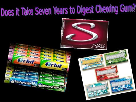 Ppt Does It Take Seven Years To Digest Chewing Gum Powerpoint Presentation Id 3143803