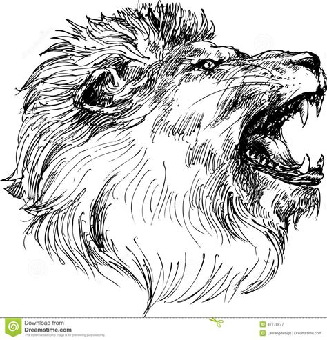 Hand drawn lion head stock vector. Illustration of heraldry - 47778877