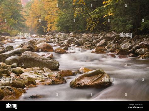 Roaring Branch Stream Green Mountain National Forest Vermont Stock