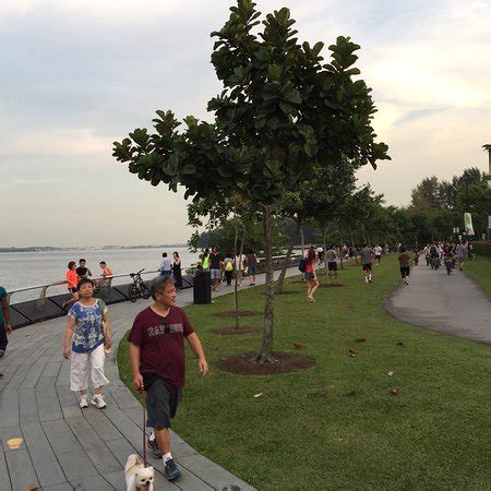 Remember to support our restaurants and cafes by coming down to the punggol settlement for your lunch and dinner. The Punggol Settlement (Singapore) - 2019 All You Need to ...