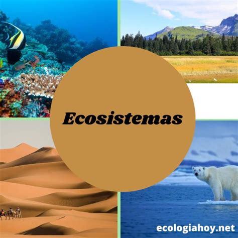 Qué Es Un Sistema En La Ecología Ecología Hoy