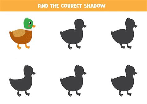 Premium Vector Find The Correct Shadow Of Cute Cartoon Duck