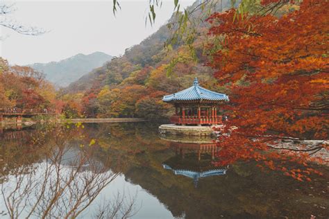 Ive Been Lucky To Visit Some Of The Most Beautiful Places In Korea