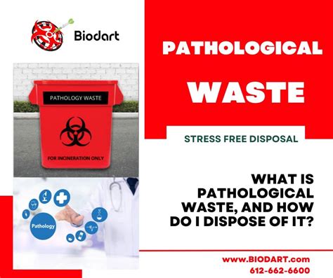 What Is Pathological Waste And How Do I Dispose Of It