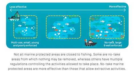 Marine Protected Area Infographic Save Our Seas Magazine