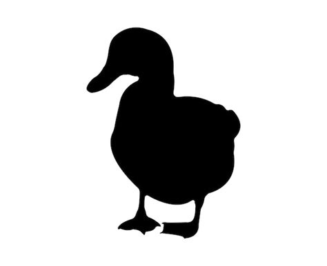Premium Vector Vector Flat Duck Silhouette Isolated On White Background