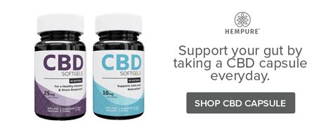 Cbd And Gut Health How They Work Together Hempure