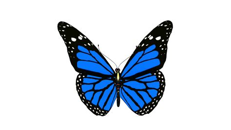 Blue Butterfly Png Pic Png Arts