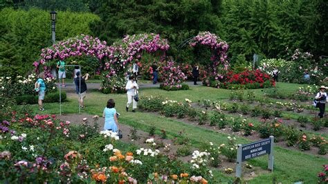 International Rose Test Garden Urban Park In Portland