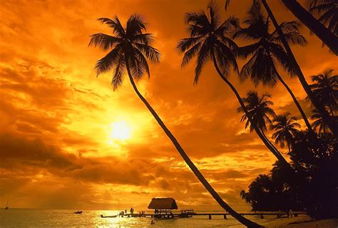 Fondo Pantalla Playa Atardecer Sunset Beach Sunset Tahiti Travel