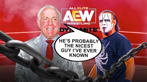 Wwe Hall Of Famer Ric Flair Celebrates The Career Of Sting In A Jaw