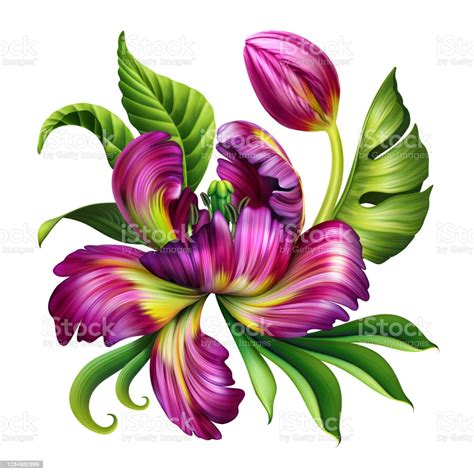 Digital Botanical Illustration Floral Arrangement With Pink Tulip And